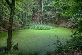 Spessart 2023 (2v9)_t.jpg